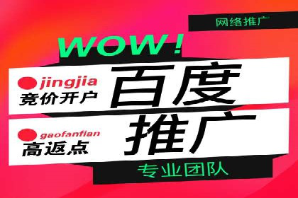 百度推广实战案例分享